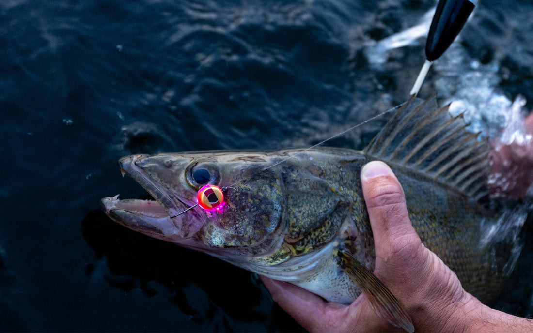How water-activated LED fishing lures work