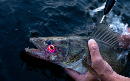 How water-activated LED fishing lures work