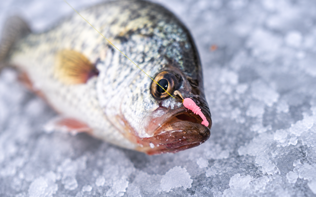 Soft plastics for panfish through the ice