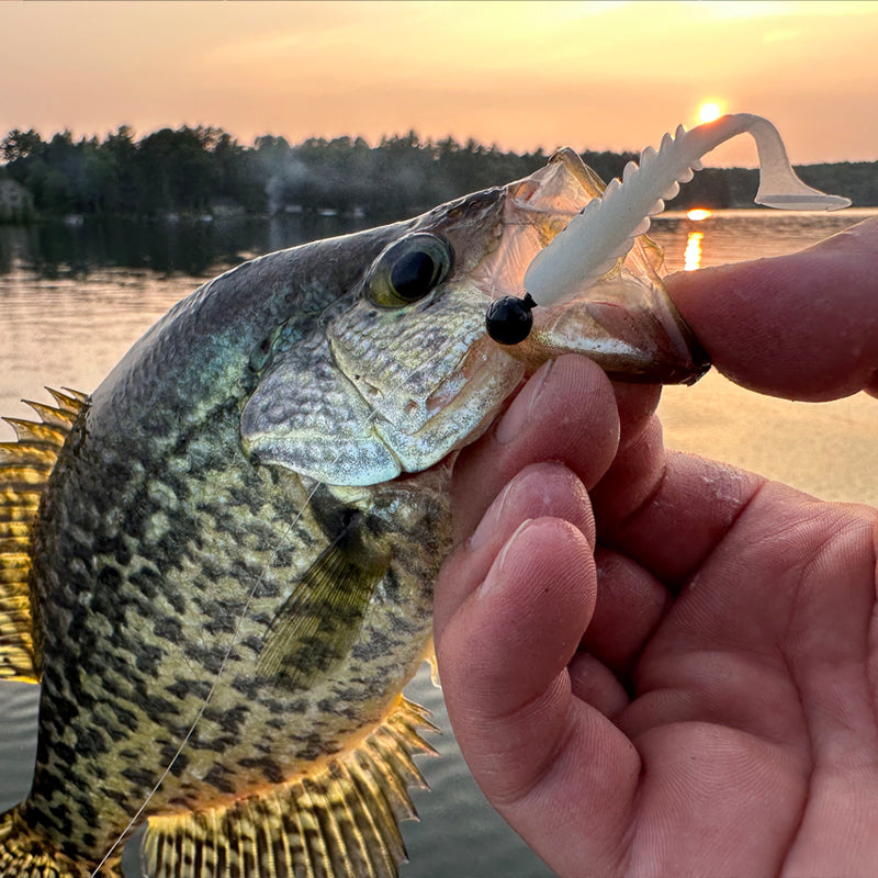 FishDaddy Spike J-Shad color assortment