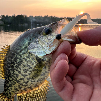FishDaddy Spike J-Shad color assortment