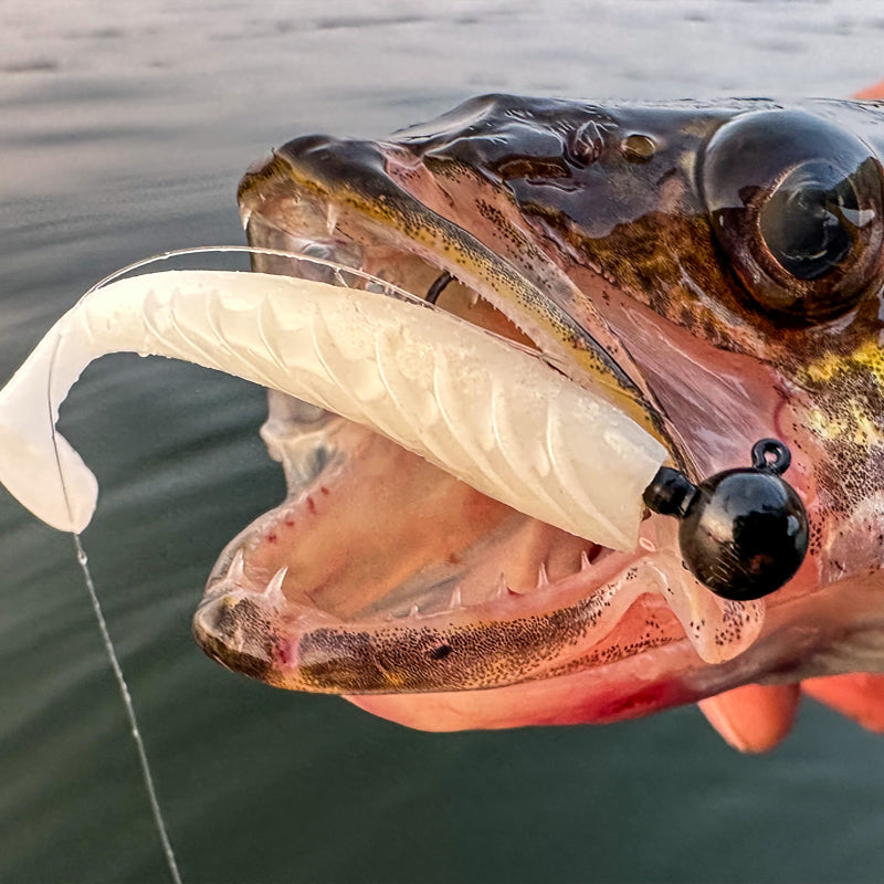 FishDaddy Spike J-Shad color assortment