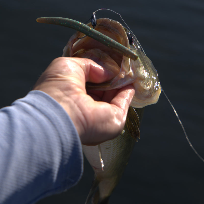 FishDaddy AirWorm soft plastic used for Bass fishing