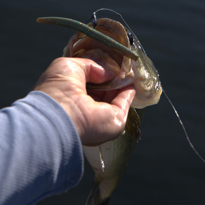FishDaddy AirWorm soft plastic used for Bass fishing