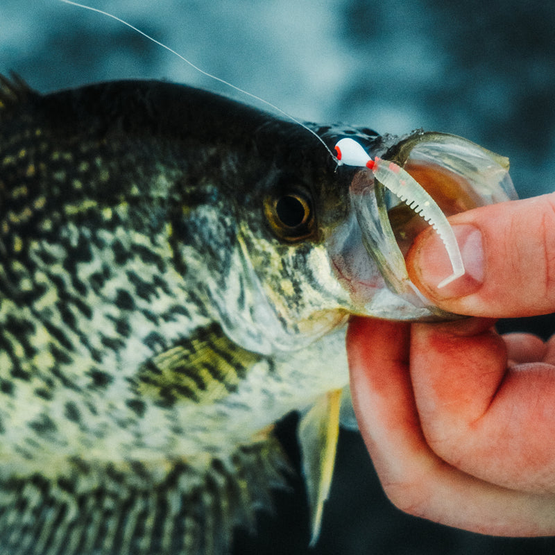 FishDaddy Lucky J-Shad used for crappie fishing