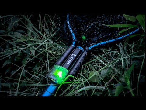 FishDaddy GloNet Light demonstration video
